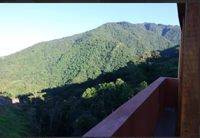 a view of a mountain with trees on it at Vista Montaña Jimenoa de la Rosa in Jarabacoa