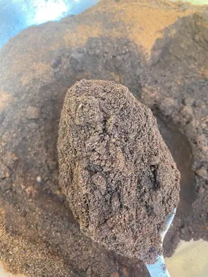 a close up of a rock on the beach at Rincón del Mojito in Santa Cruz de Barahona