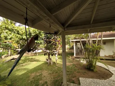 a bird hanging from a swing in a yard at Villa Bianca - BEACHFRONT with Pool in Sosúa