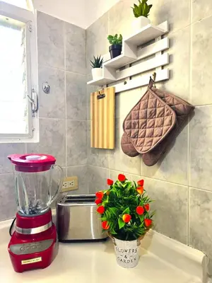 a red blender on a counter with a plant at Casa CASTILLO in La Laguna