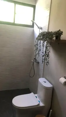a bathroom with a toilet with a plant above it at Casa Playa Rincon Hills Samana Las Galeras by BTC Group Crypto in Castellalito