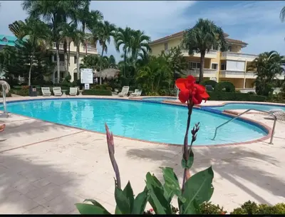 a pool with a red flower in front of a building at Boca chica retreat in Boca Chica