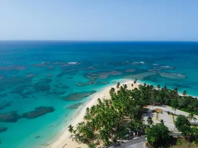 an aerial view of a beach with trees and the ocean at Gorgeous apartment steps to Playa Punta Popy in Las Terrenas