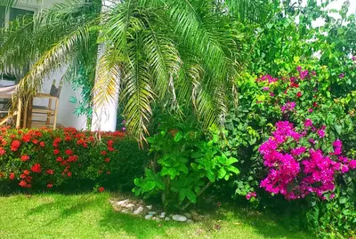 a garden with colorful flowers and a palm tree at la fenice un apartamento de ensueño en Las Terrenas playa Punta Popy in Las Terrenas