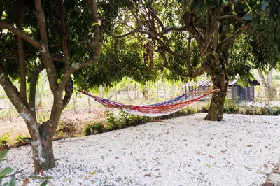 a hammock hanging between two trees in a park at Rancho Don Pedro in Bonao