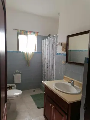 a bathroom with a sink and a toilet and a mirror at Apartment Rozarka Soficu El Edén Dominicus in La Laguna