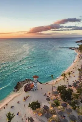an aerial view of a beach with palm trees and the ocean at Apartment Rozarka Soficu El Edén Dominicus in La Laguna