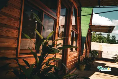 a plant in front of a wooden house at VillaSol un descanso en pedernales in Pedernales