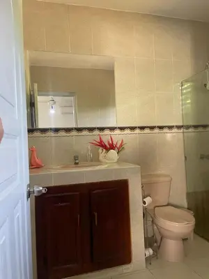 a bathroom with a toilet and a sink and a mirror at Your best escape in Dominican Republic!! in Santiago de los Caballeros