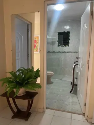 a bathroom with a shower and a toilet and a plant at Your best escape in Dominican Republic!! in Santiago de los Caballeros