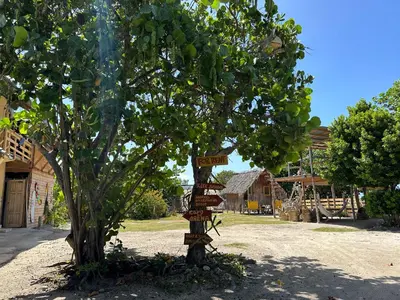 a tree with signs on it next to a tree at Buen Hombre Kite School with Accommodations in La Costa de Buen Hombre