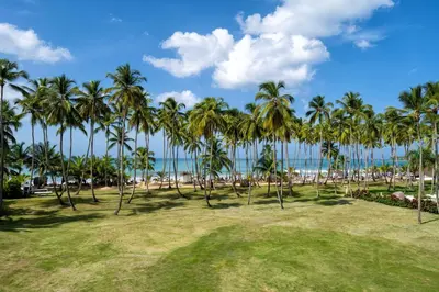 a row of palm trees on the beach at Viva V Samana by Wyndham, A Trademark Adults All Inclusive in Las Terrenas