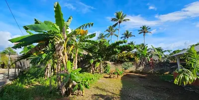 a garden with palm trees and a fence at Villa Jardín Tropical in Las Galeras
