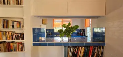 a plant in a vase on a shelf in a library at Villa Jardín Tropical in Las Galeras