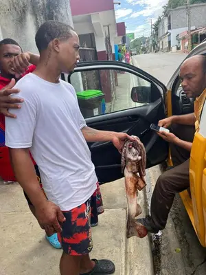a man holding a dog in front of a car at Gecko Azul, Las Galeras in Las Galeras