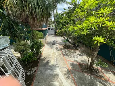 a garden with trees and plants on a sidewalk at Solano Apartamentos in Boca Chica