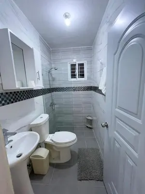 a white bathroom with a toilet and a sink at 3 bedroom apartment with private jacuzzi and terrace in Ensanche Savica de Mendoza