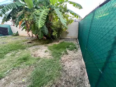 a yard with a fence and a banana tree at Tranquilo Apartamento de 3 habitaciones in Los Paredones