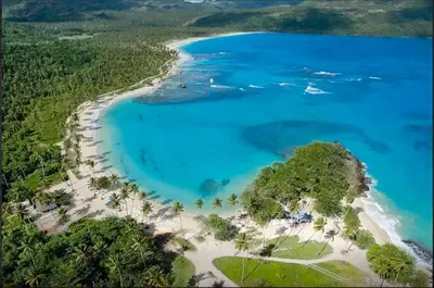 an aerial view of a beach with trees and blue water at Villa Caribeña in Las Galeras