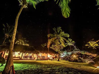 a group of palm trees in a park at night at Villa Caribeña in Las Galeras