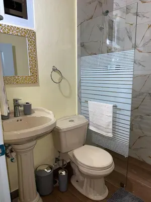 a bathroom with a toilet and a sink and a shower at Mi casa Amalia in Santa Cruz de Barahona