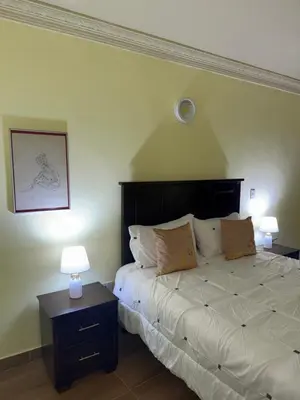 a bedroom with a large bed with two lamps at Mi casa Amalia in Santa Cruz de Barahona