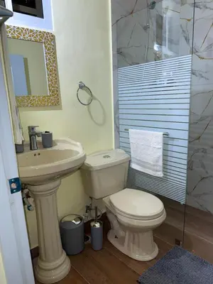 a bathroom with a toilet and a sink and a shower at Mi casa Amalia in Santa Cruz de Barahona