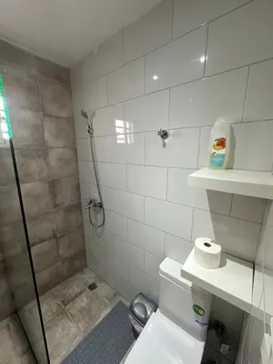 a bathroom with a shower stall and a toilet at Apartamento Santo Domingo este in Juan López
