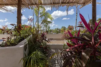 a garden with a bunch of plants at El Mambo Boutique Hotel in Las Terrenas