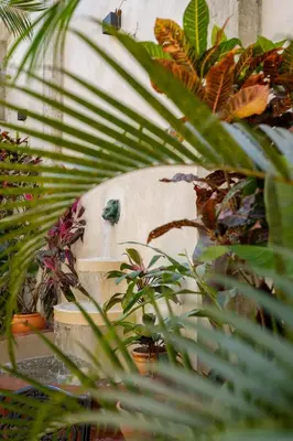a planter with plants on the side of a building at El Mambo Boutique Hotel in Las Terrenas