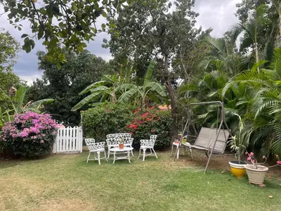 a yard with a table and chairs and flowers at Nancy house in Monción
