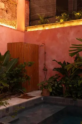 a backyard with a pool and a wooden door at Casa Grullon, an Oasis in the Colonial Zone in Santo Domingo