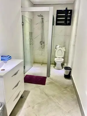 a bathroom with a toilet and a glass shower at Appartement cosy avec terrasse in Santa Bárbara de Samaná