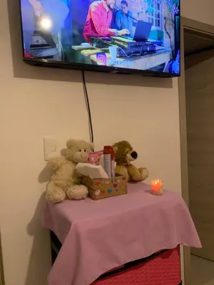 two teddy bears sitting on a table with a tv at Cómodo y acogedor in Los Paredones