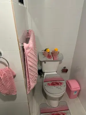 a bathroom with a toilet and a pink towel at Cómodo y acogedor in Los Paredones