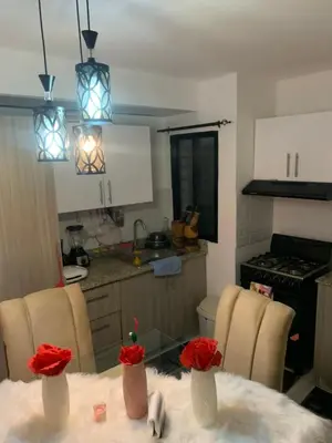 a kitchen with a table with roses in vases on it at Cómodo y acogedor in Los Paredones