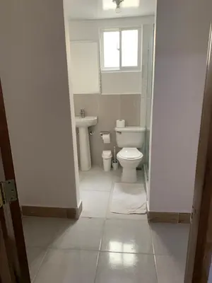 a bathroom with a toilet and a sink and a window at Juan Bosch apartament in Santo Domingo