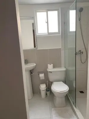 a bathroom with a toilet and a sink and a shower at Juan Bosch apartament in Santo Domingo