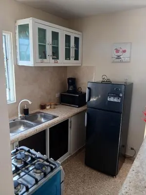 a kitchen with a black refrigerator and a sink at SDQ Apartment Marbella 4 in La Ureña