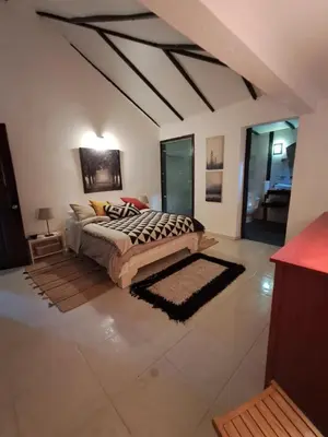 a bedroom with a bed in a room with a ceiling at Villa la casita in Villa Altagracia
