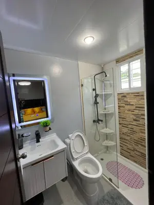 a bathroom with a shower and a toilet and a sink at Apartamento amueblado in Arenoso