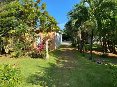a yard with palm trees and a house at Garden House in Las Galeras
