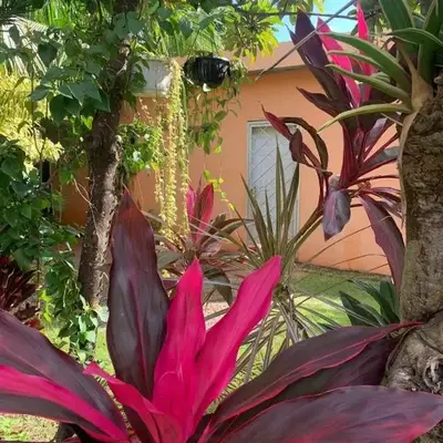 Garden House