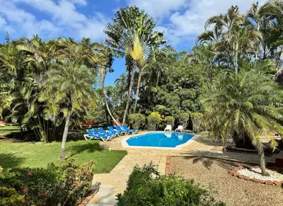 a resort with a swimming pool and palm trees at Villa Olga in Sosúa
