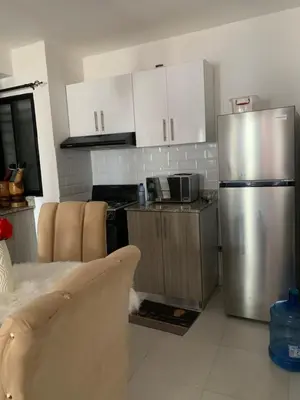 a kitchen with a stainless steel refrigerator and white cabinets at habitat 1 t4 101 ciudad juan Bosch in San Isidro