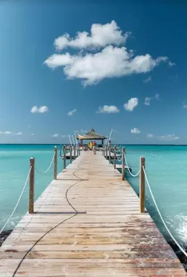 a wooden pier in the ocean with people on it at Cadaques Bayahibe Beach Front in Bayahibe
