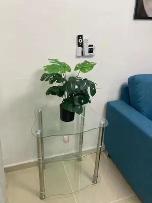 a plant sitting on a glass table next to a blue couch at Apartmento Xbox WFI TV65 PC Love Relax Work in La Cana