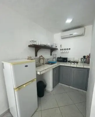 a kitchen with a white refrigerator and a sink at Hotel Appartements Hummingbird CABARETE in Cabarete