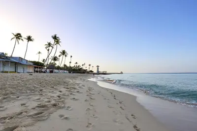 a sandy beach with palm trees and the ocean at 404-C Luxurious Apartment 5 Minutes from the Beach in La Laguna