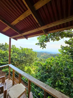 a porch with a view of the forest at Pure Nature - Eco-lodge in the Mountains! in La Búcara